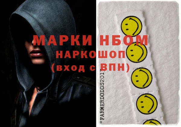 бошки Коряжма
