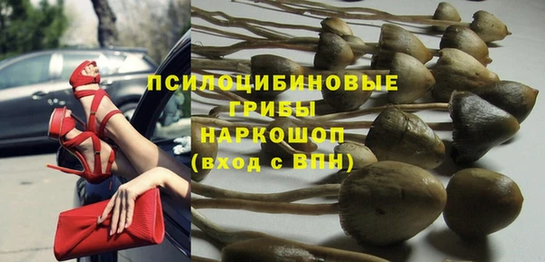 прущие крисы Красноперекопск